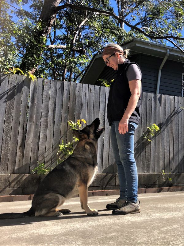 Behaviour Vet, Dog Behaviourist